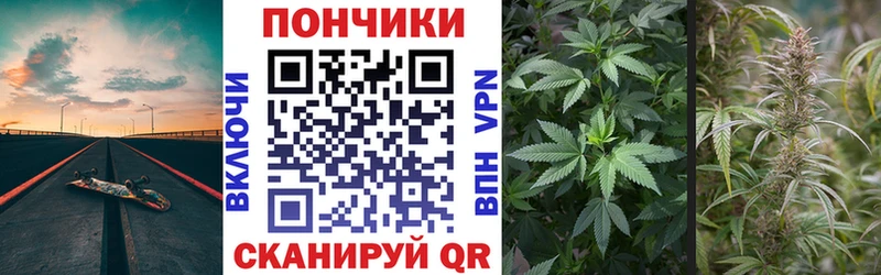 Бошки Шишки марихуана  Нижнекамск 